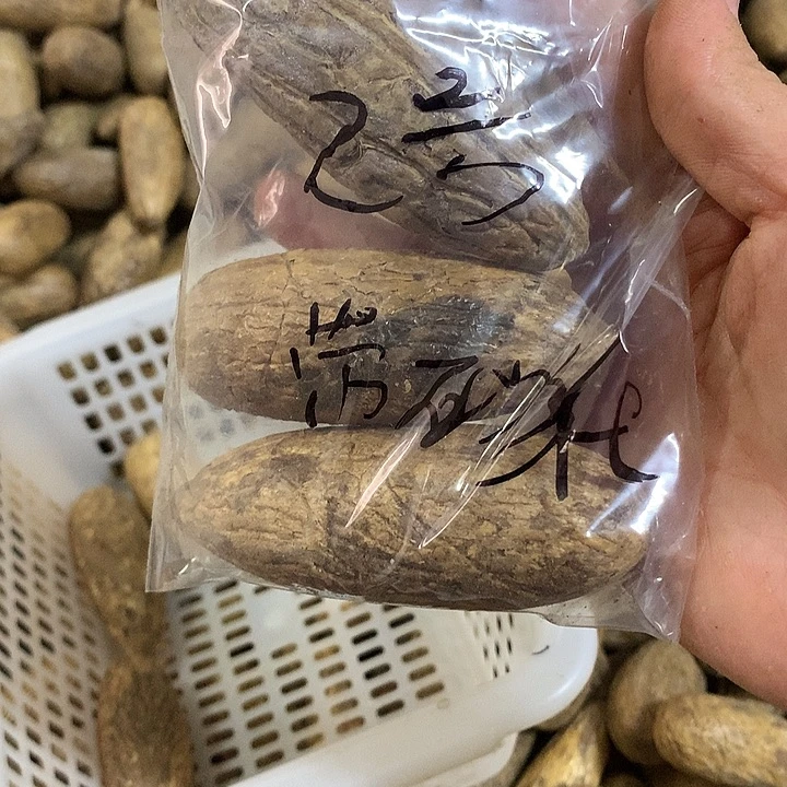 吊坠千眼菩提二号千眼