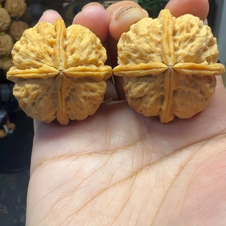吊坠文玩核桃蛮荒火凤四棱37