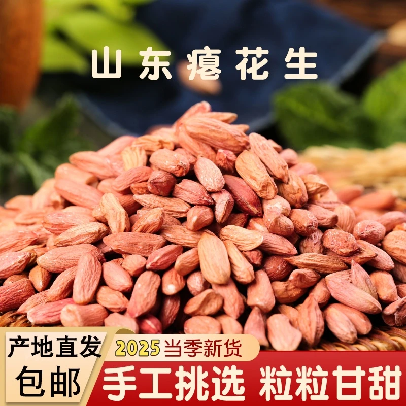 山东瘪花生米2025年新小瘪花生米红皮小粒干瘪小秕子花生米零食