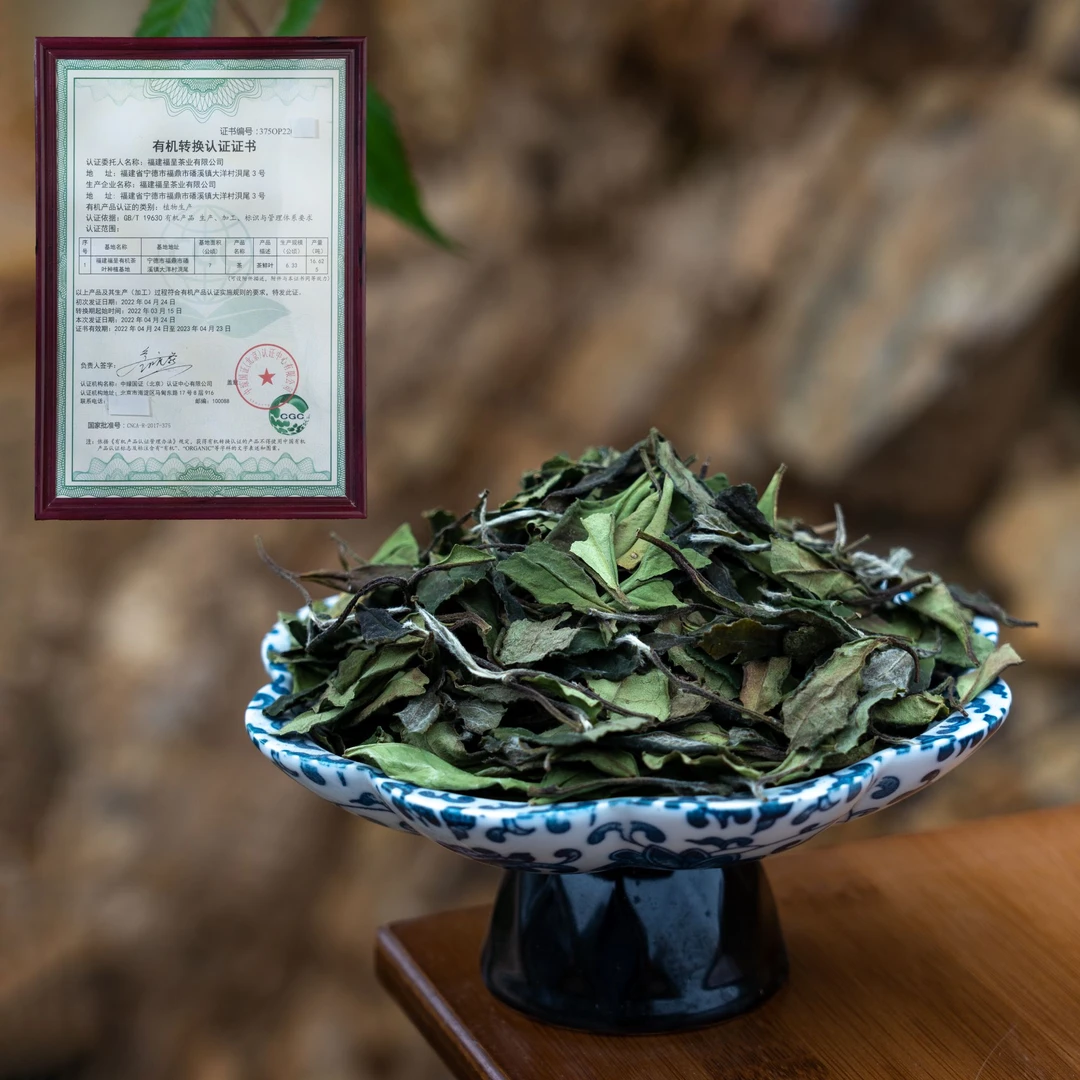 2022年有机管理 春寿眉丨春醒 磻溪大洋山 有机YJ60地块 福鼎白茶