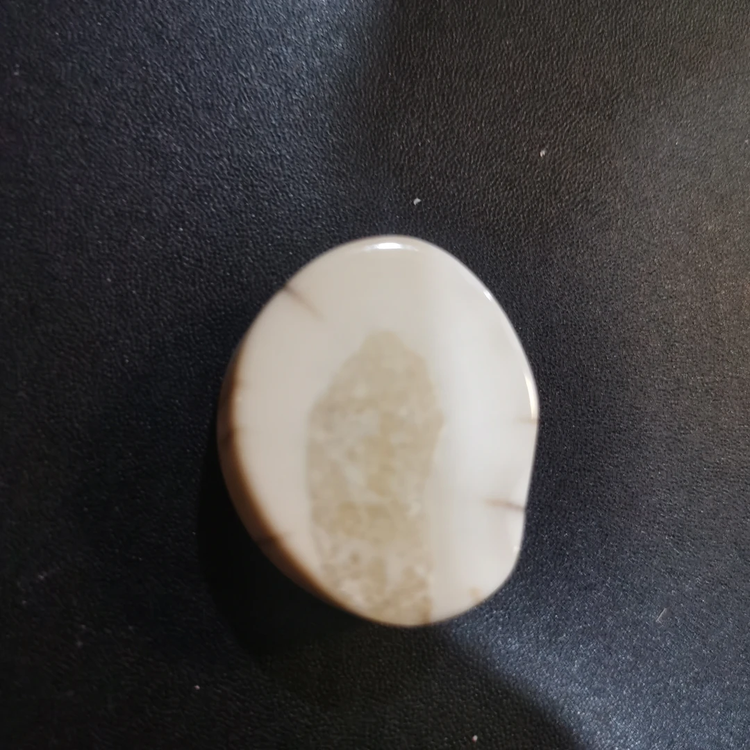 猛犸猛犸虬饼子WW286