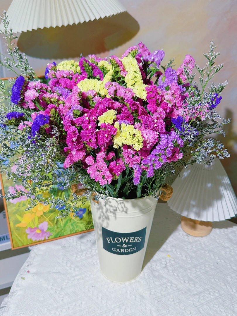 云南天然风干干花花束勿忘我真花客厅装饰摆件批发大束生日礼物