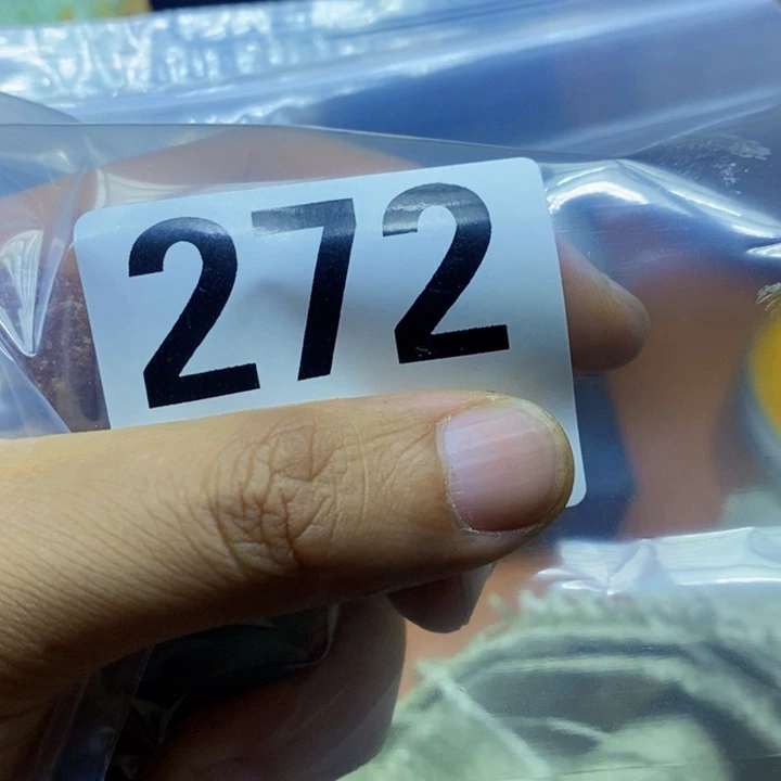 何*两hi gy d y v jv ub i