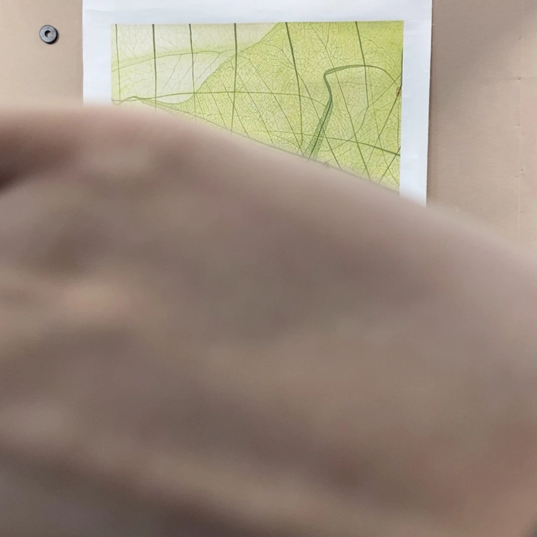 【闪购商品】国画暗*墨鱼精品墨鱼精品