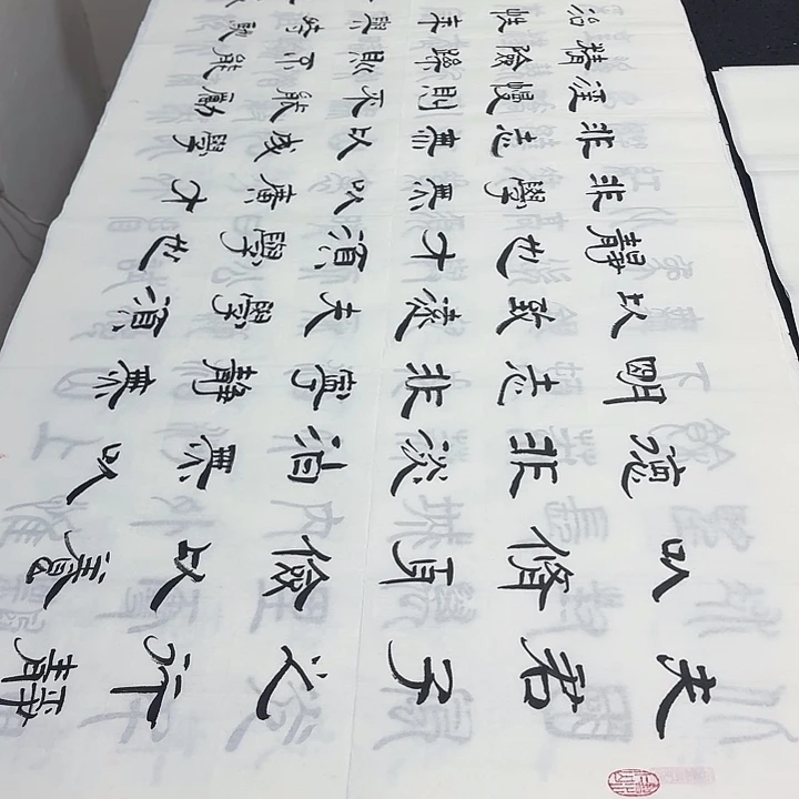 书法老师精品行书平尺