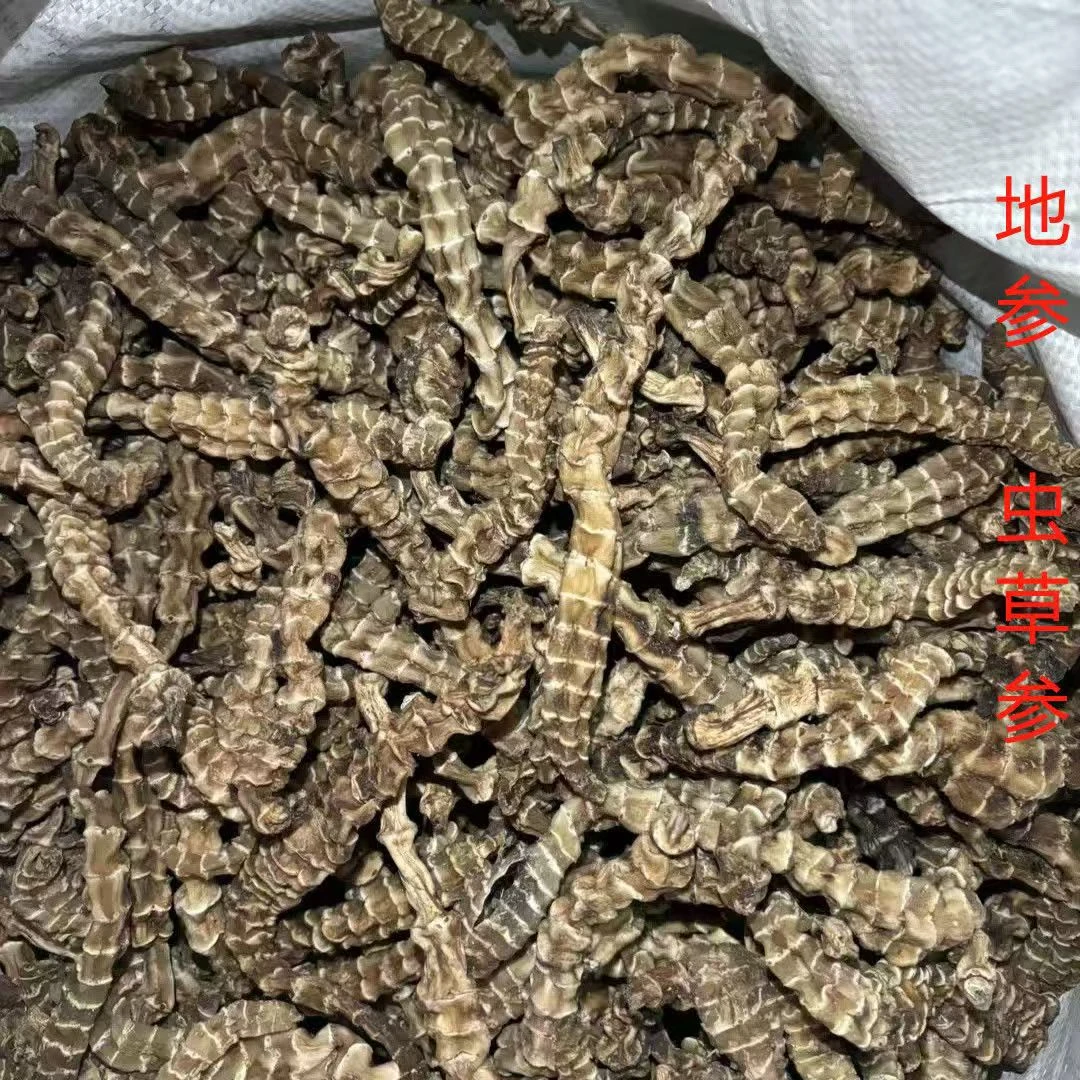 【助农山货】高山农家虫草参 地参 纯干泡水泡酒炒菜