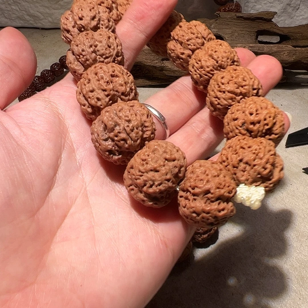 金刚菩提手串马卡鲁豆腐块梅花22尺寸左右福利