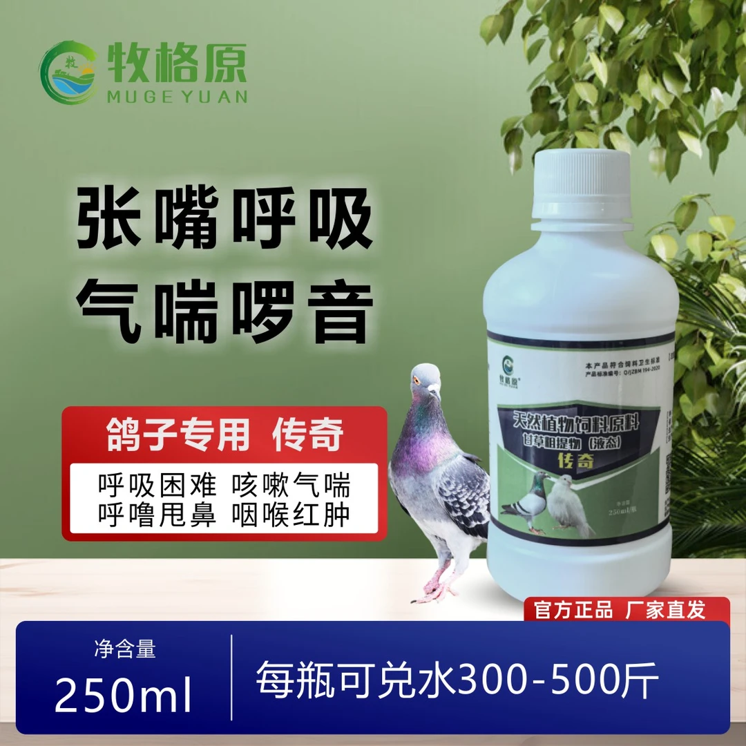 牧格原传奇250ml 清理呼吸道打通气囊赛鸽信鸽种鸽幼鸽饲料添加剂
