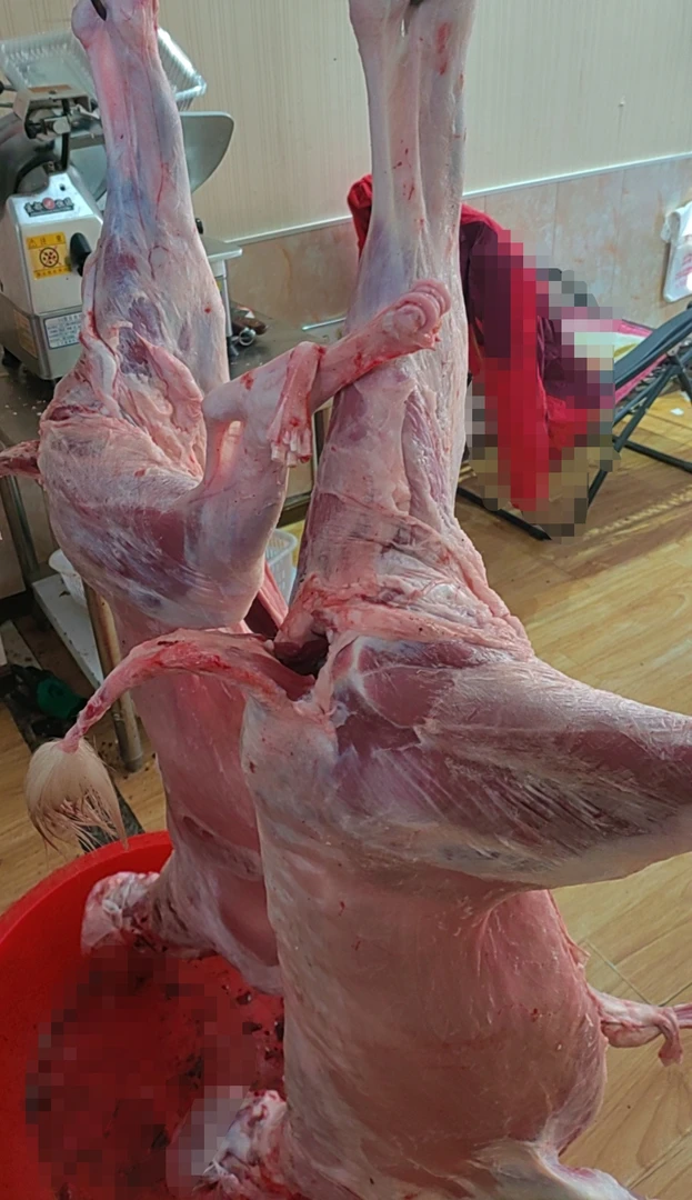 自养新鲜羊腿肉，任何甜言蜜语都不及冬天里的一碗羊肉汤