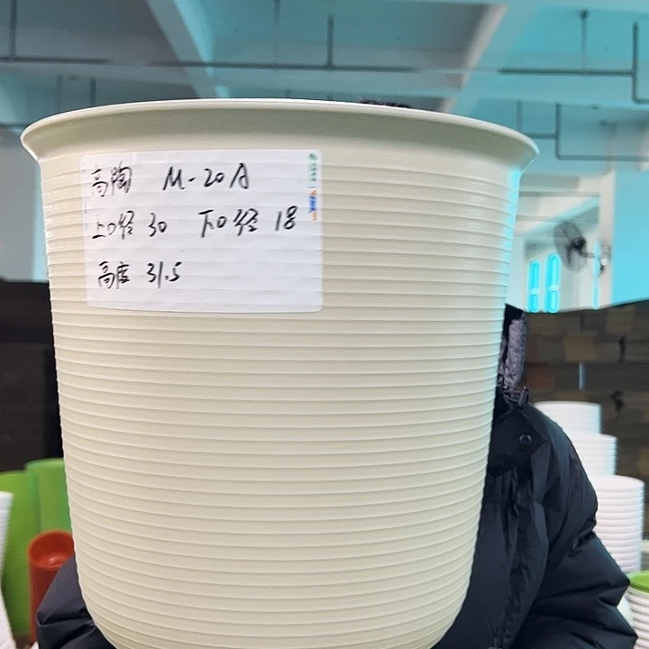 正品高陶口30高31米色无托3只