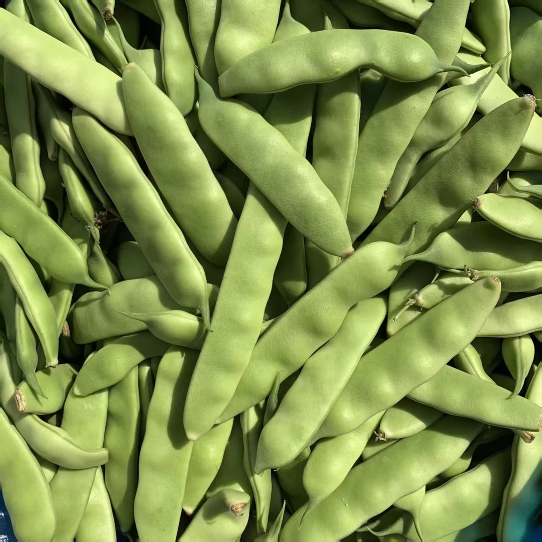 东北梨树特产九月青豆角新鲜豆角冒泡开锅烂