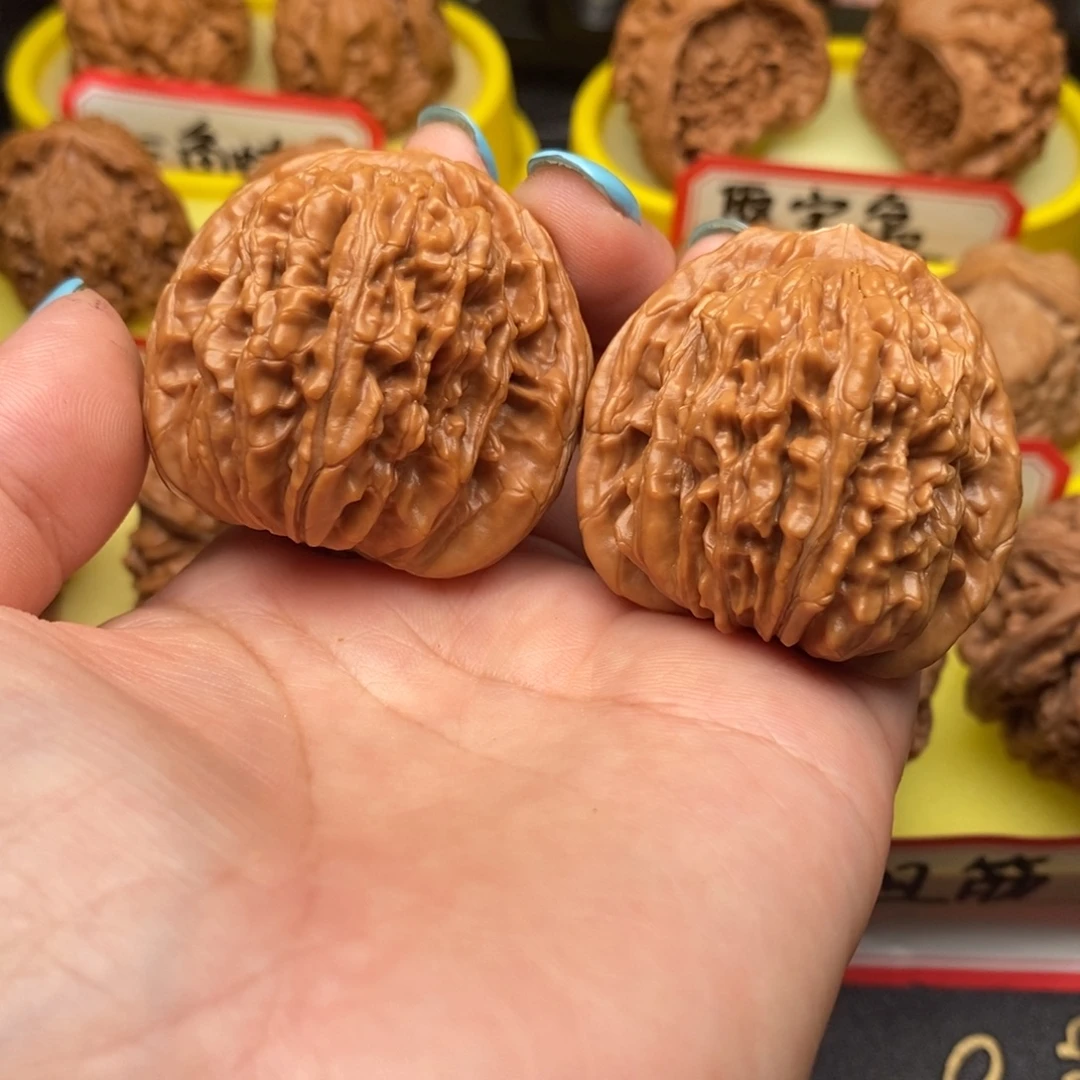 菩提籽类四座楼楼