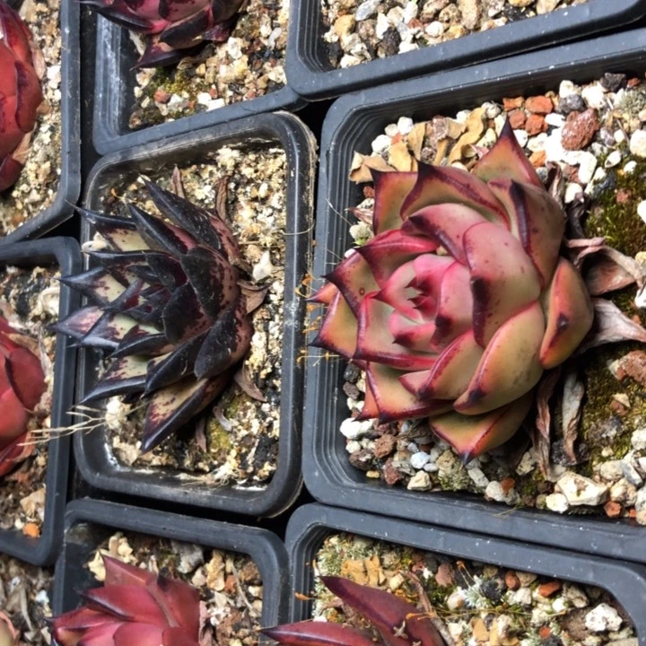 121/////////////////