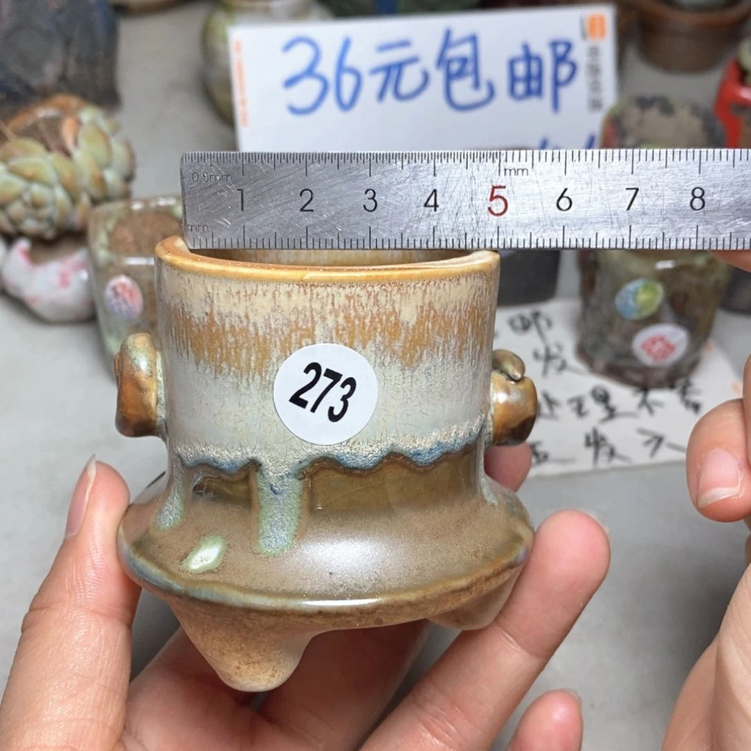 拍5送一个小礼物