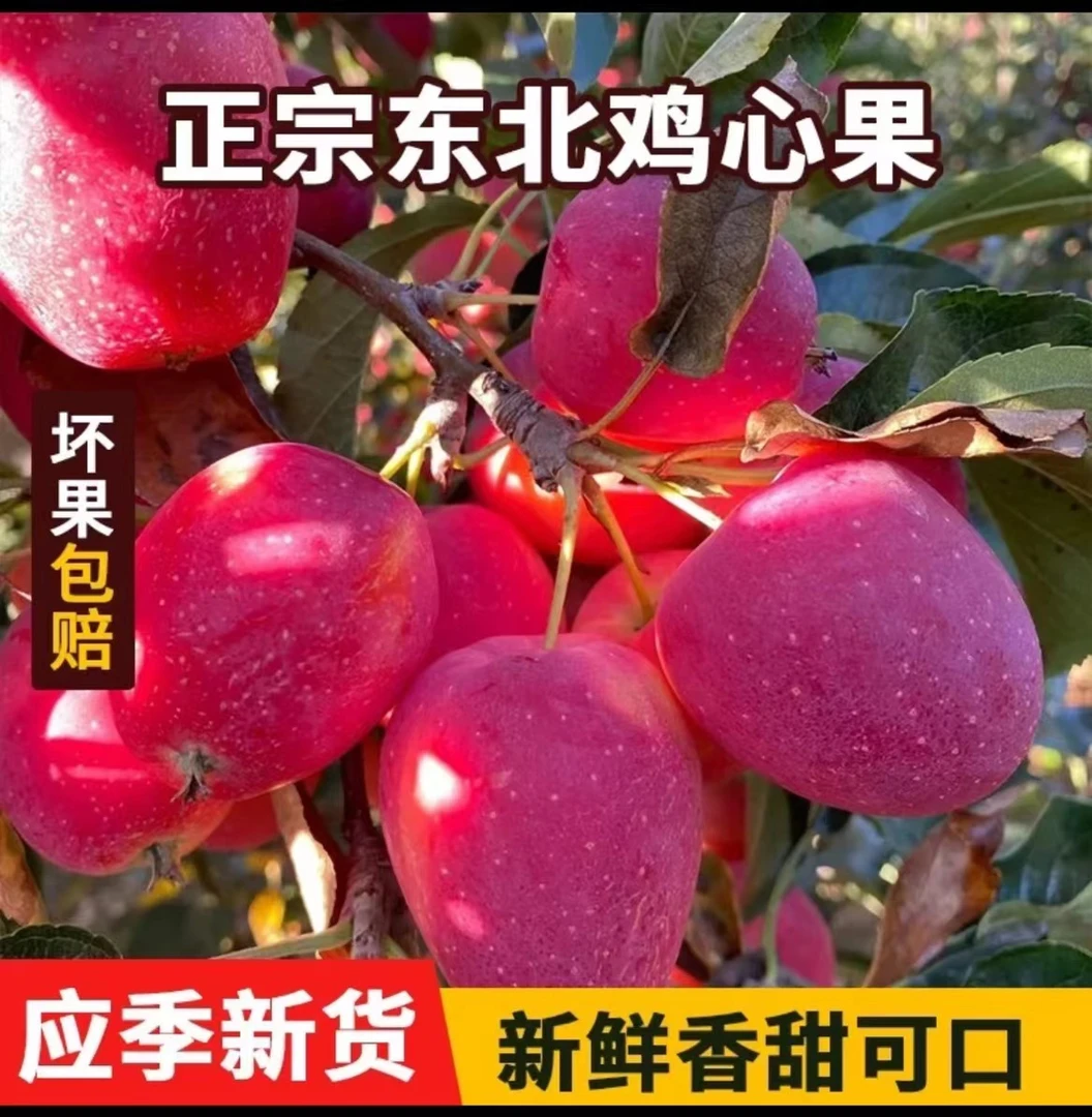 东北特产新鲜鸡心果锦绣海棠果酸甜脆口当季水果
