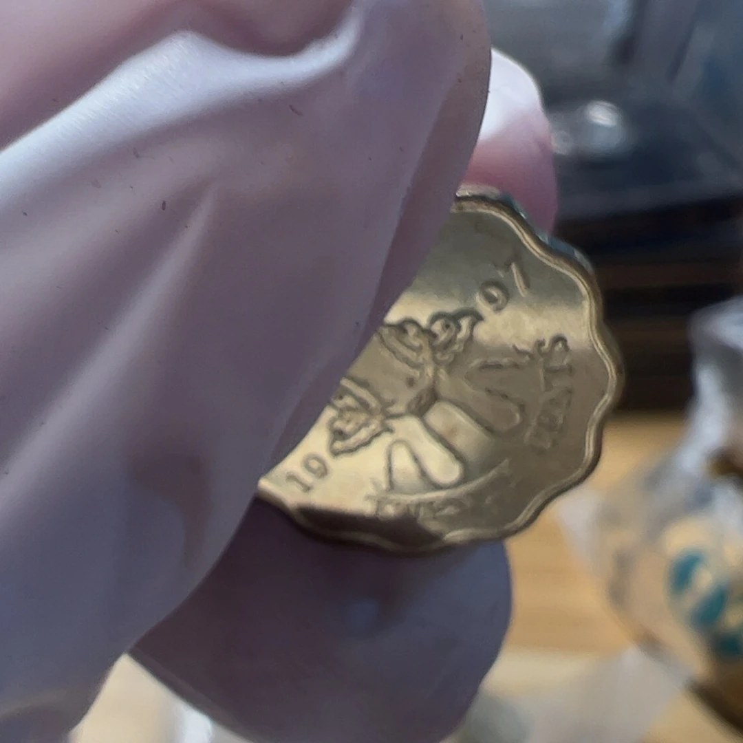 其他普通金属蝴蝶币