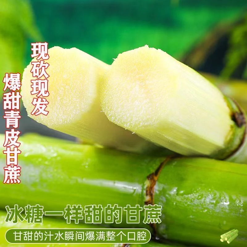 正宗陶山青皮手剥甘蔗中段当季新鲜水果青皮甘蔗整箱脆甜多汁
