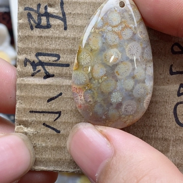 颈饰未镶嵌硅化珊瑚（珊瑚玉）启****❤