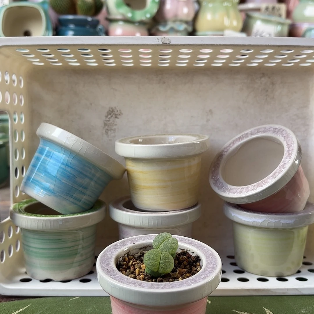 量货/口5高5深浅搭配发6