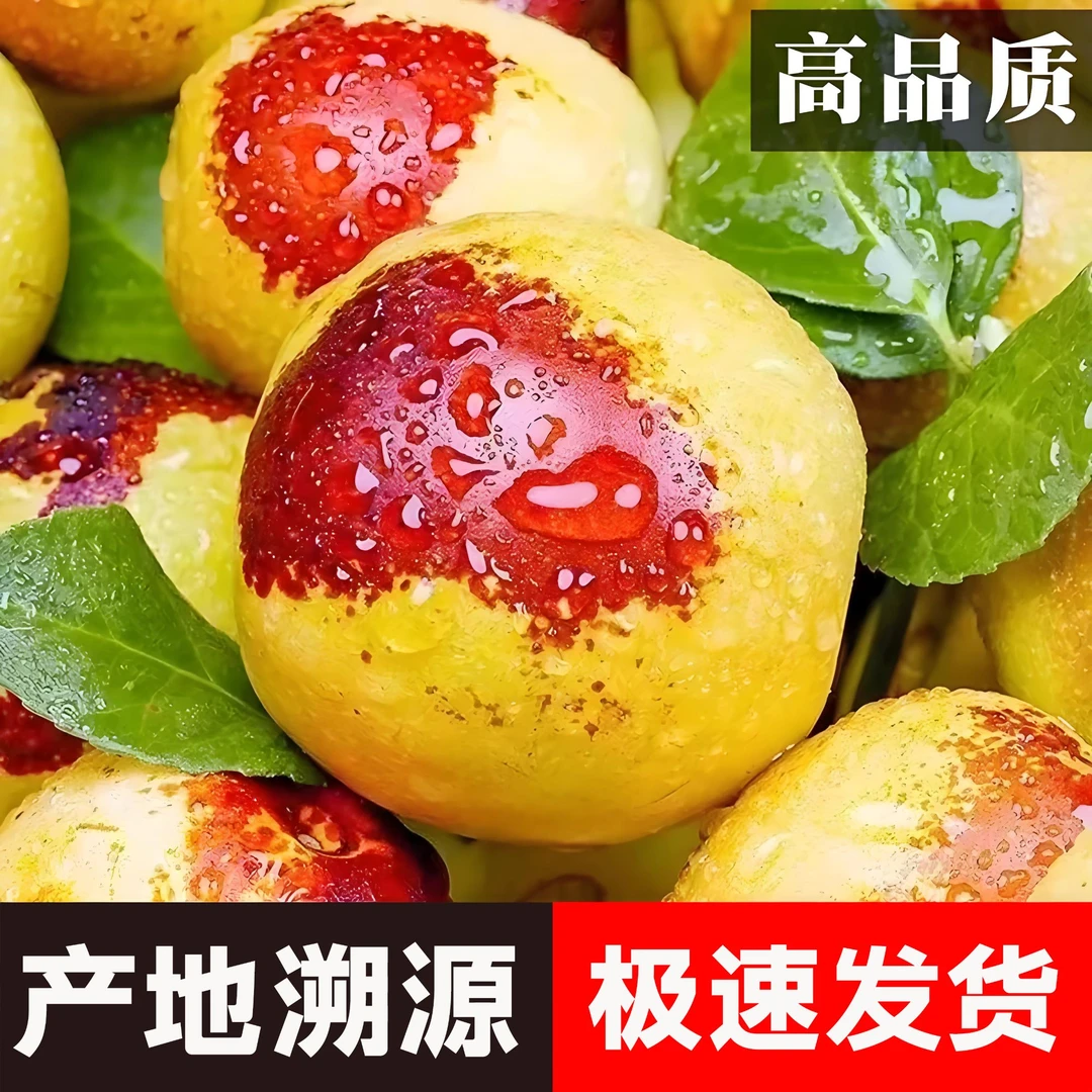 【高品质沾化直发】现摘冰糖冬枣山东脆甜沾化冬枣新鲜水果大3/5斤