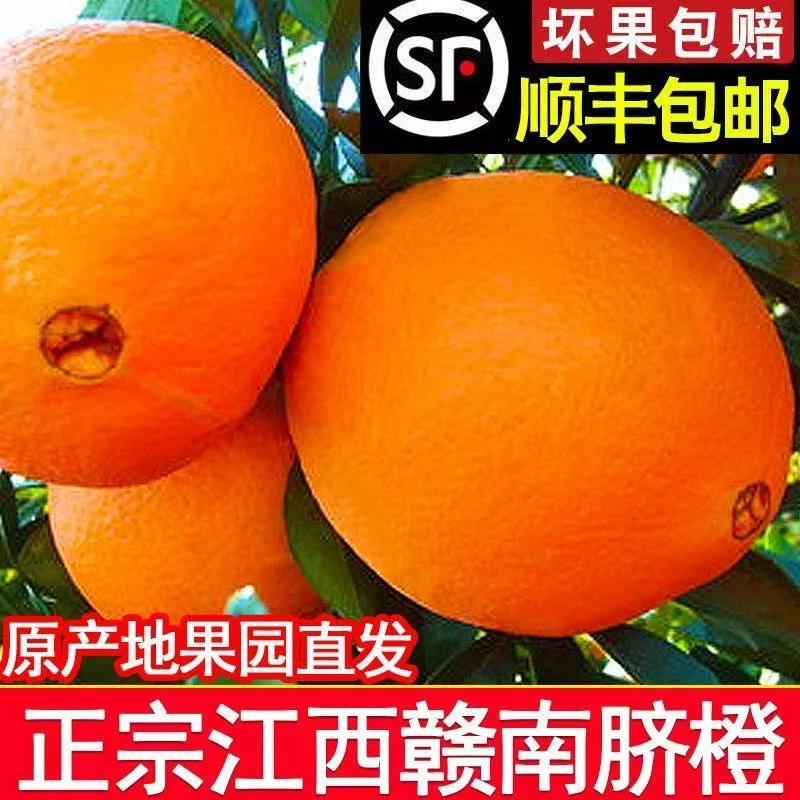 [顺丰上门]江西赣南脐橙寻乌县应季新鲜水果脐橙赣州橙子现採现发