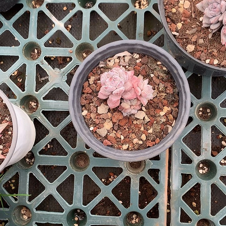 哈哈哈哈哈哈哈哈3