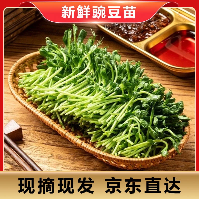 新鲜精选农家自种豌豆苗 约150-200克