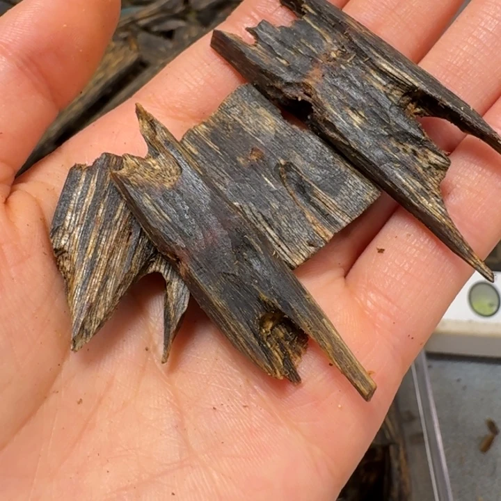 宅***崽沉香沉香碎屑棋楠陆河高端树心油块料10克