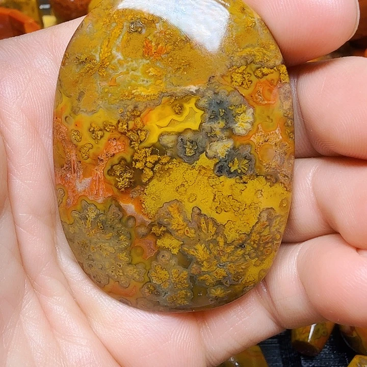 袋***熊玛瑙/玉髓未镶嵌手链