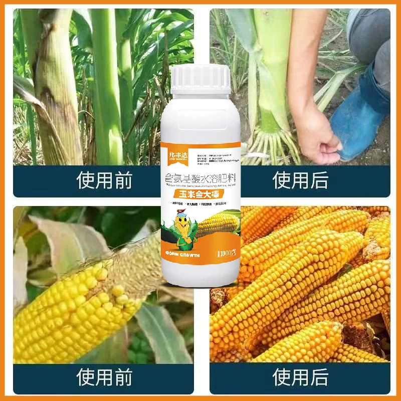 玉米金大棒促根壮苗植株健壮抗旱抗涝抗倒伏水溶肥料助剂
