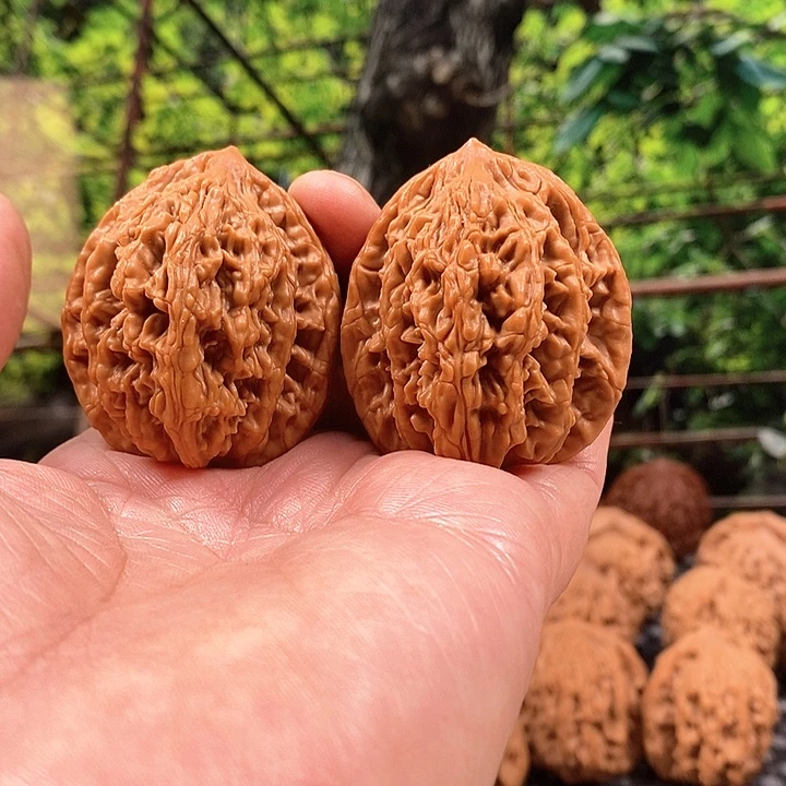 阿***家吊坠文玩核桃百年老树堂虎核桃