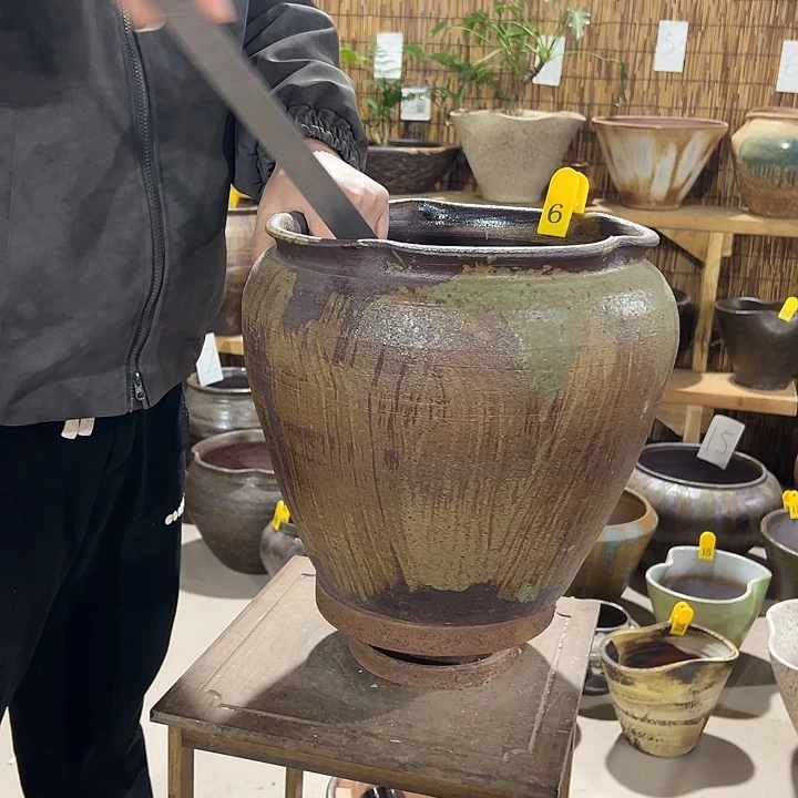 高31/29花盆从vv吧