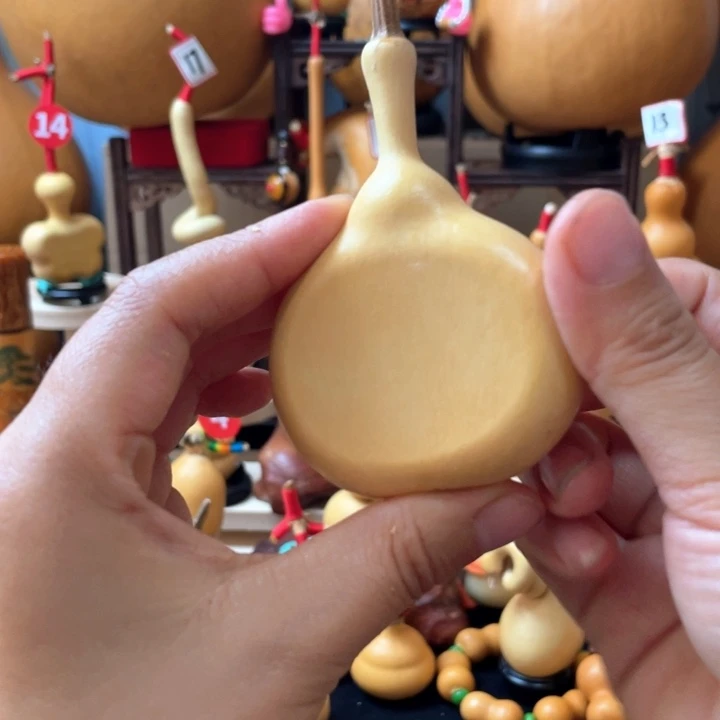 飞***儿这种东西就是因为我们不能因为