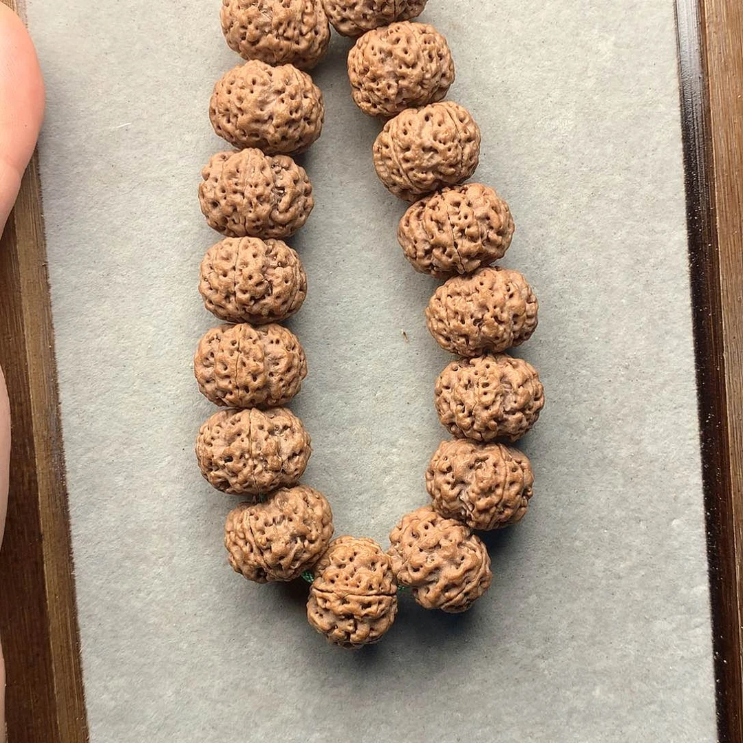 吊坠金刚菩提20尺寸