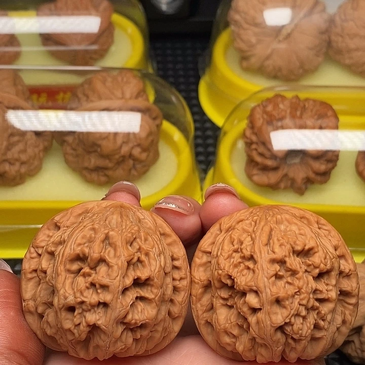 45肉球大粗筋