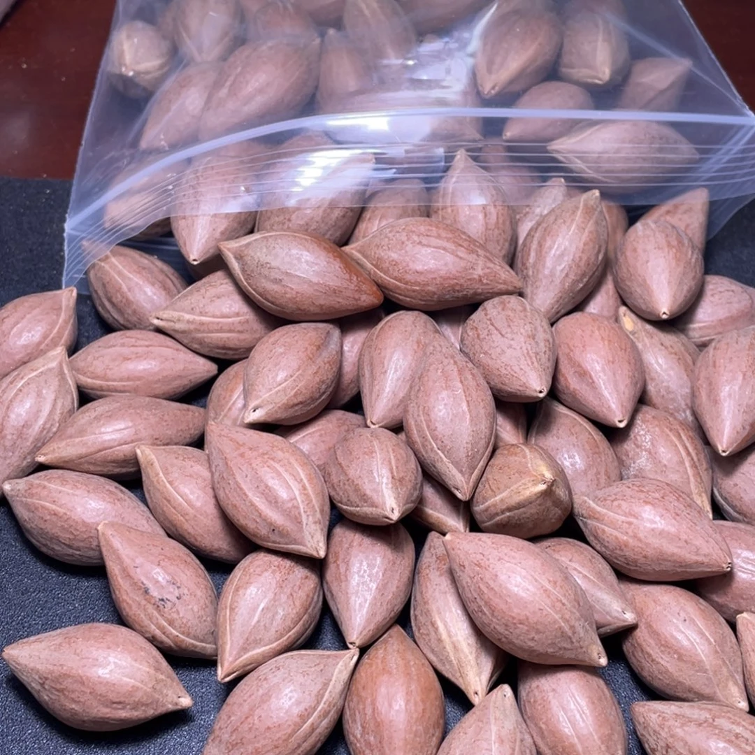 既***人手串/手链橄榄核不退不换