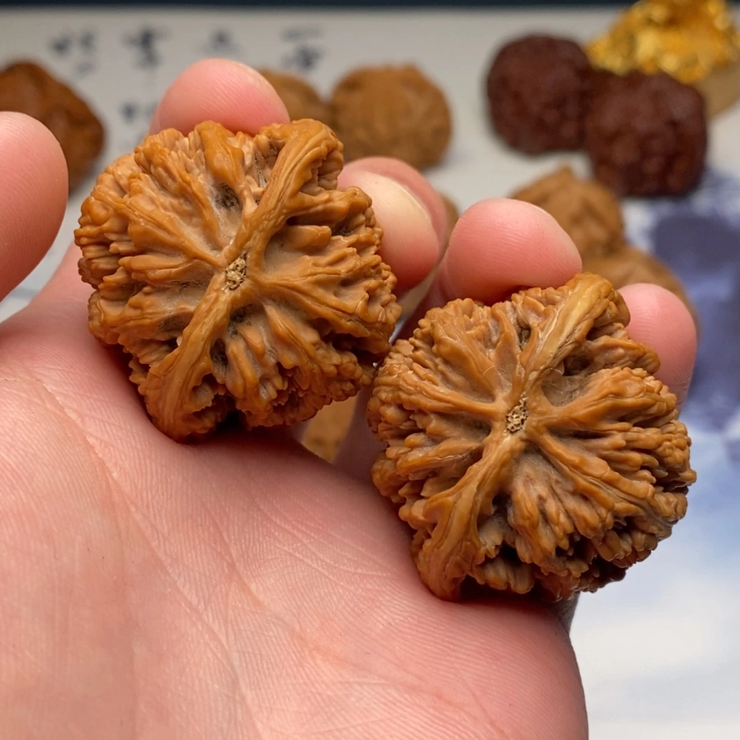 树***叶文玩核桃把件九龙