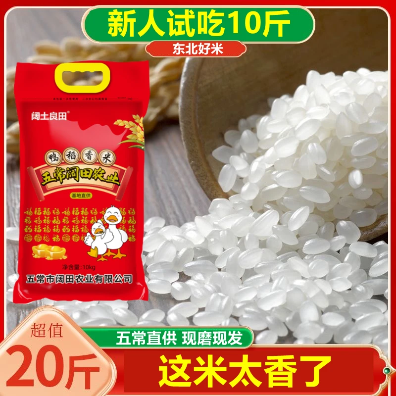 五常直供 鸭稻香米  东北大米 现磨新米 非真空20斤