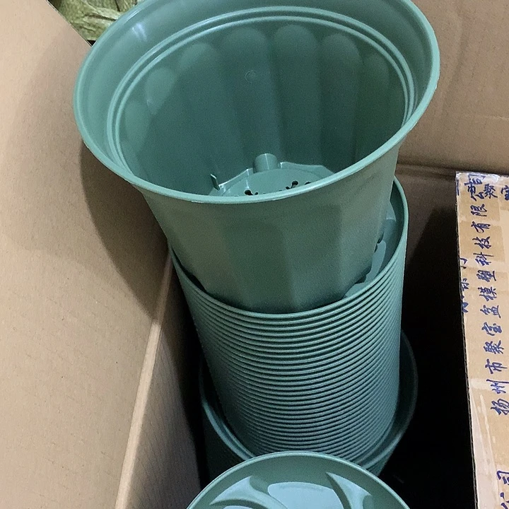 小果汀17口绿5个送托