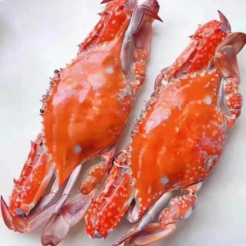 冰鲜梭子蟹【保鲜不保活】2两半左右一只 满三斤起拍