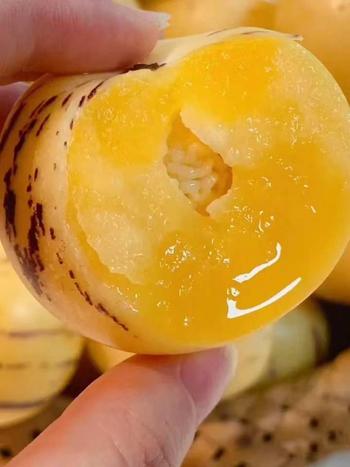 【坏果包赔】云南七彩人参果净重3斤