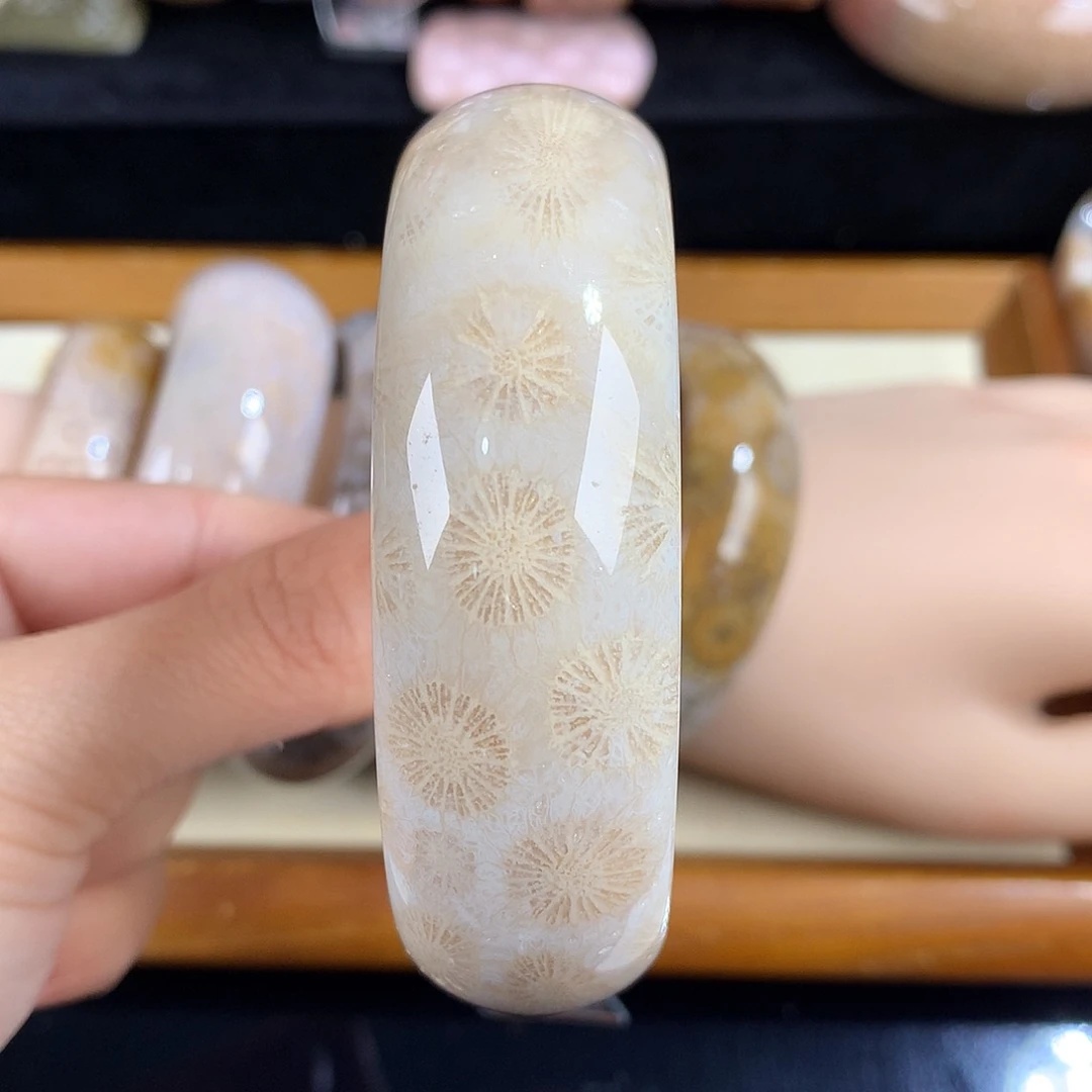 吊坠(赠链)未镶嵌硅化珊瑚（珊瑚玉）21号59.6圈口