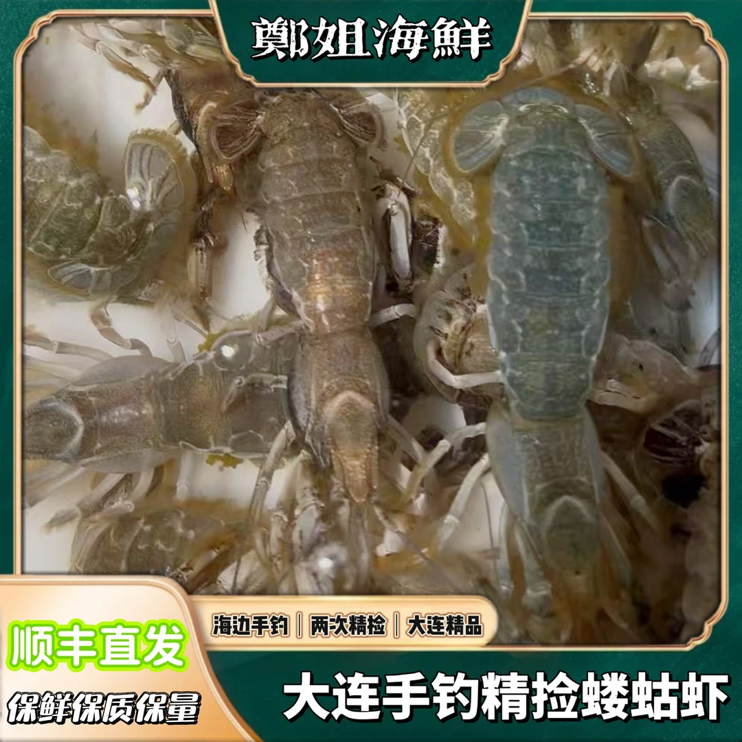 大连泸沽虾本地手钓【保鲜不保活 省外熟发】顺丰冷链