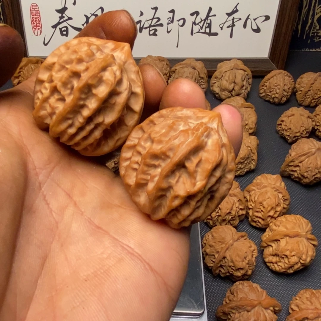 核桃曹大龙尖部有修