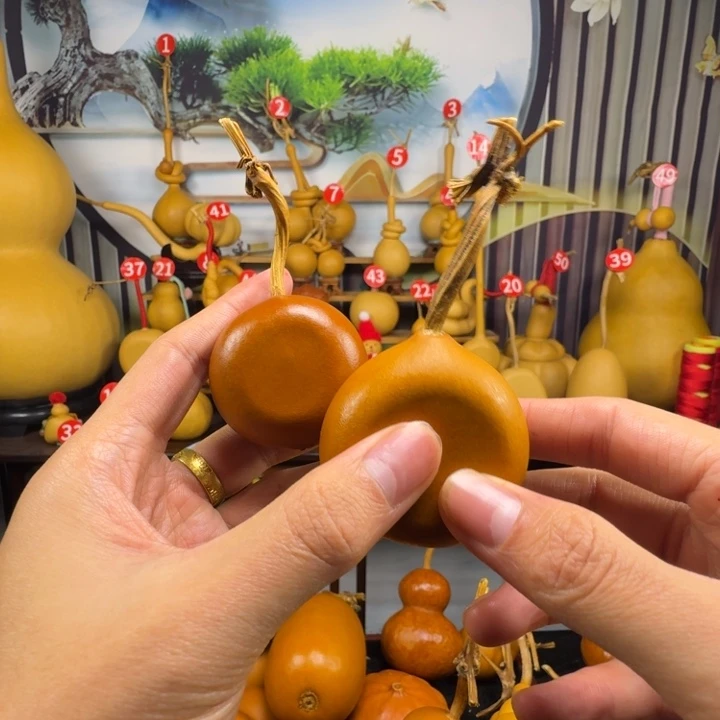 小全品小夹扁两把