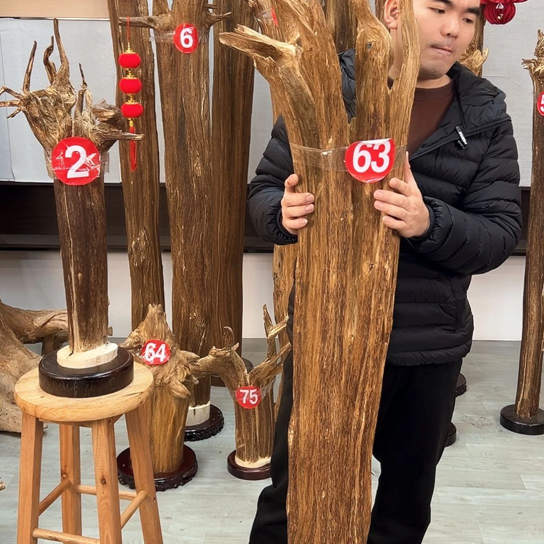 沉香摆件自*游沉香摆件