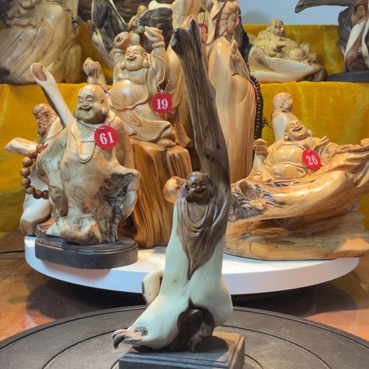 柏木（崖柏）崖柏  弥勒