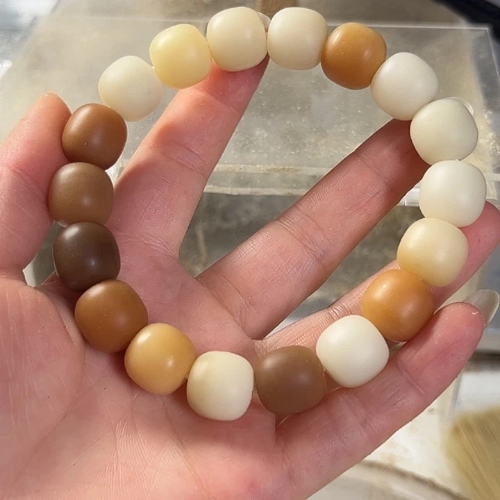 手串菩提根/象牙果