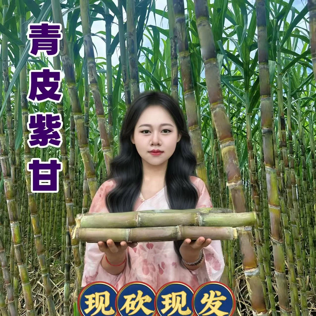 青皮紫甘新鲜甘蔗现砍现发应季水果清甜多汁精选5斤