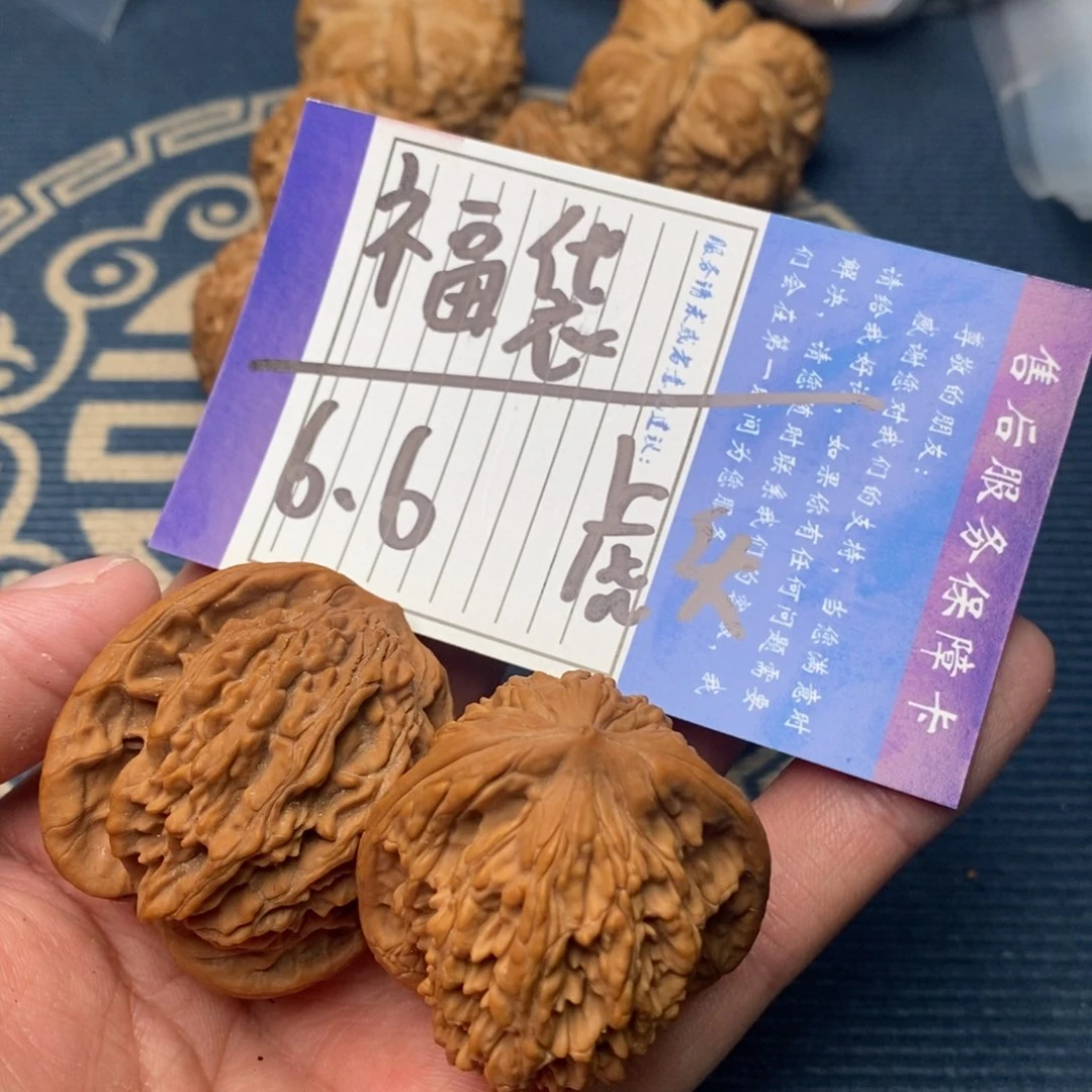 ?**?虎头6666666666666